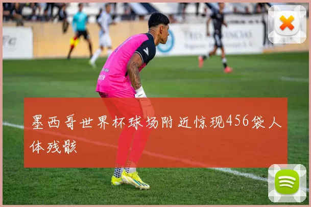 墨西哥世界杯球场附近惊现456袋人体残骸