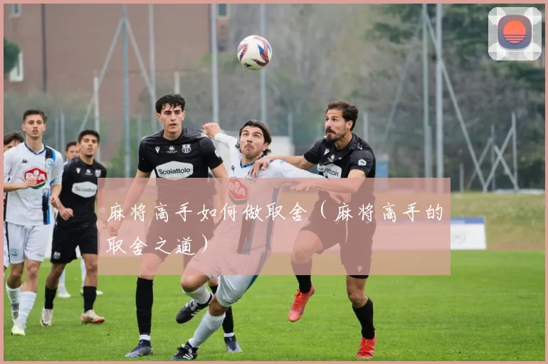 麻将高手如何做取舍（麻将高手的取舍之道）