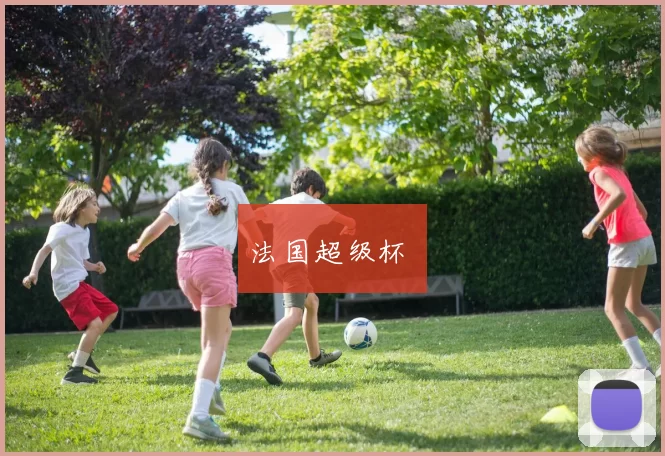 法国超级杯 ✅