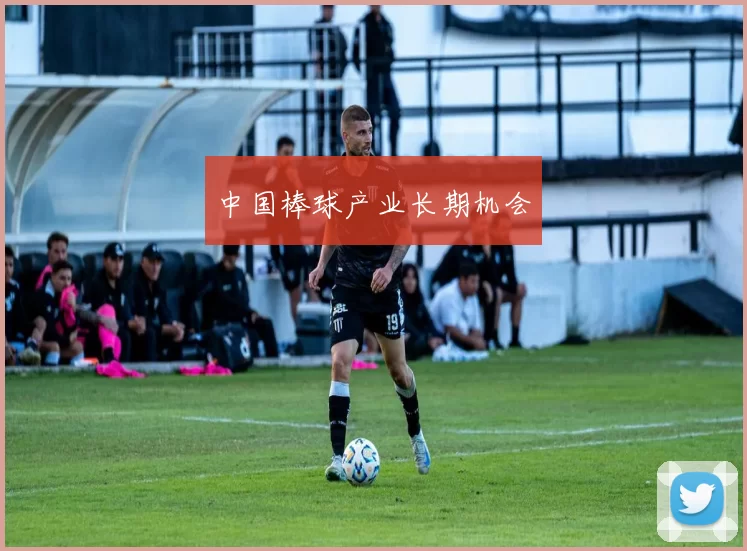 中国棒球产业长期机会